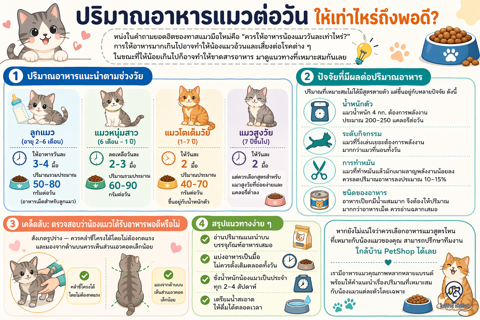 อินโฟกราฟิก: ปริมาณอาหารแมวต่อวัน ให้เท่าไหร่ถึงพอดี?
